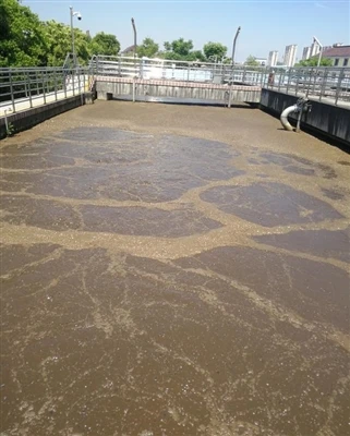 Samarali AquaSust MBBR tizimini loyihalash bo'yicha bosqichma-bosqich qo'llanma
